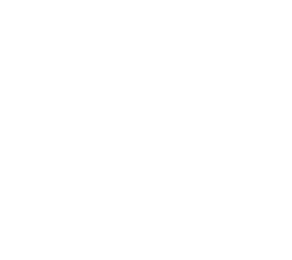 Uccello_3_white